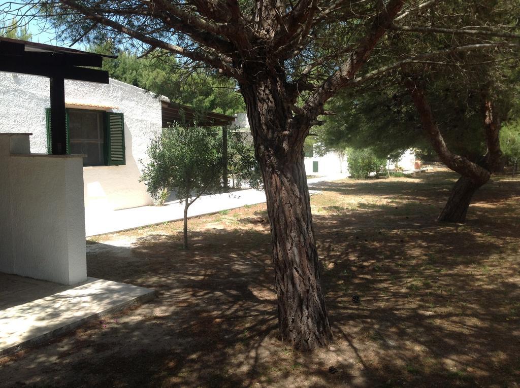 Appartamenti In Villa Senia Favignana Ngoại thất bức ảnh