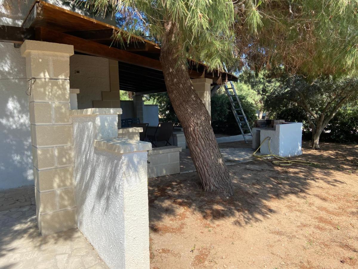 Appartamenti In Villa Senia Favignana Ngoại thất bức ảnh